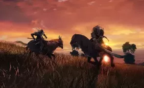 Игроки Elden Ring на PC нашли простое исправление частоты кадров