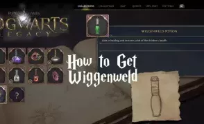 Hogwarts Legacy: Как получить больше зелий Виггенвельда
